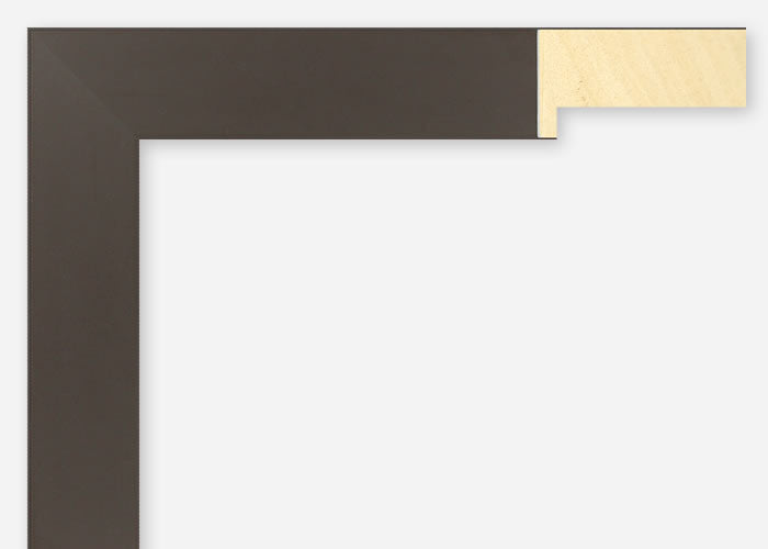 Custom Frame CFSX2440-25