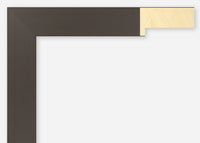 Custom Frame CFSX2440-25