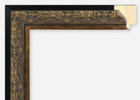 Custom Frame CFSX300-660