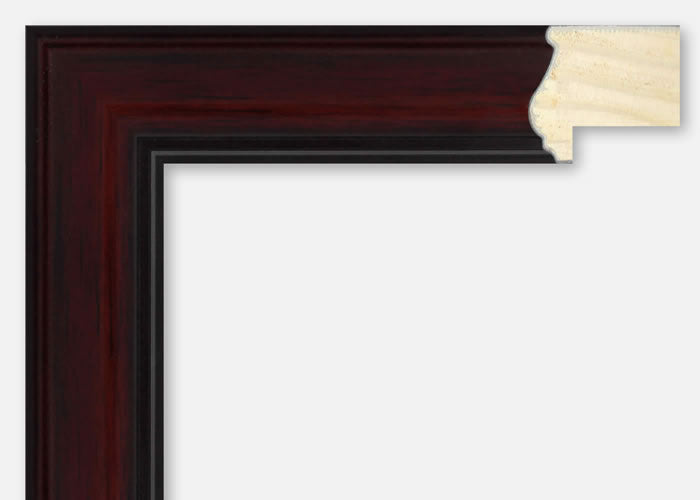 Custom Frame CFSX300-985