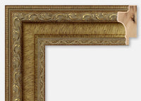 Custom Frame CFSX51-202