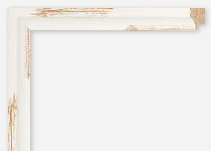 Custom Frame CFSX805-310