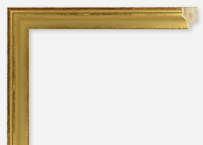 Custom Frame CFSX805-320