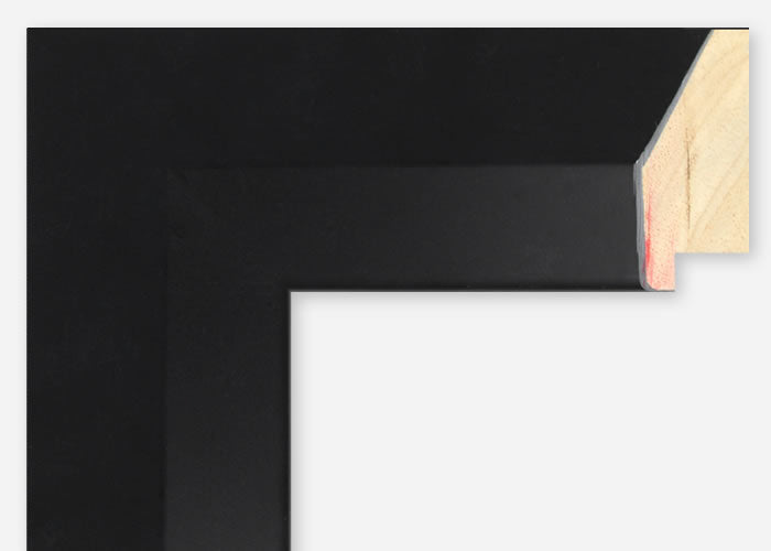 Custom Frame CFSZ8665