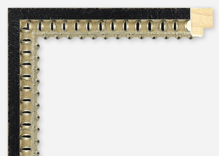 Custom Frame CFSZ8781