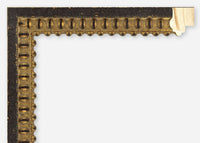 Custom Frame CFSZ8784