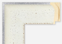 Custom Frame CFSZ8790