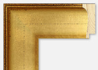 Custom Frame CFSZ8791