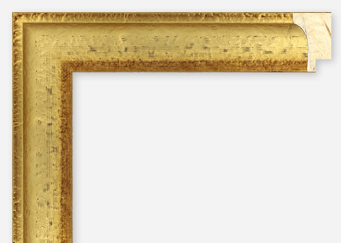 Custom Frame CFSZ8795