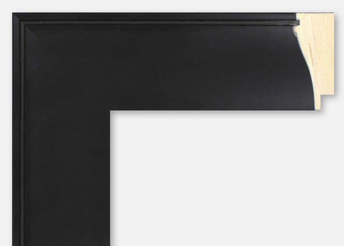 Custom Frame CFSYBR4520