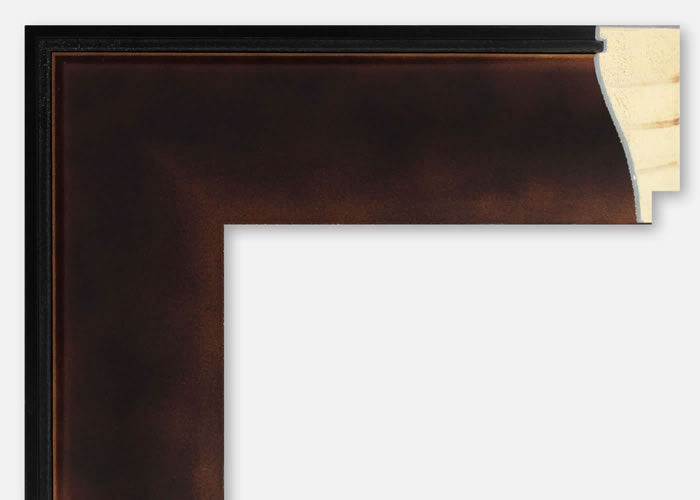 Custom Frame CFSYBR6429