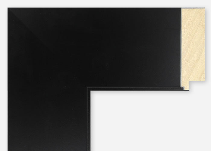 Custom Frame CFSYN4010