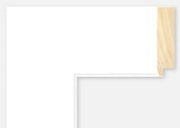 Custom Frame CFSYN4011