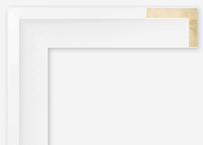 Custom Floater Frame CFSX805-55x