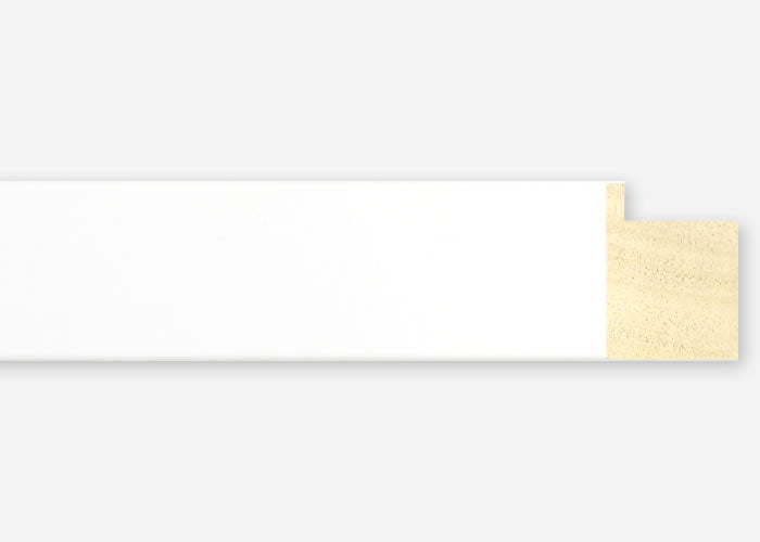 Custom Frame CFSX2410-35