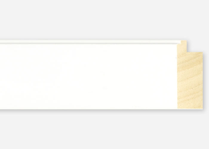 Custom Frame CFSX2410-85