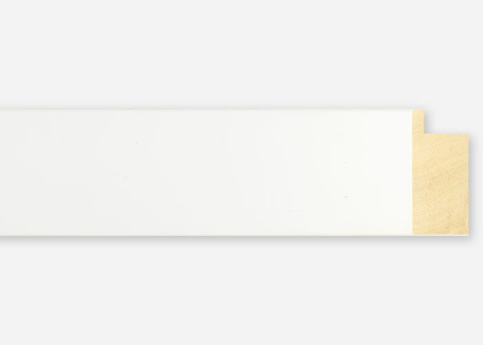 Custom Frame CFSX2420-55