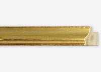 Custom Frame CFSX805-320