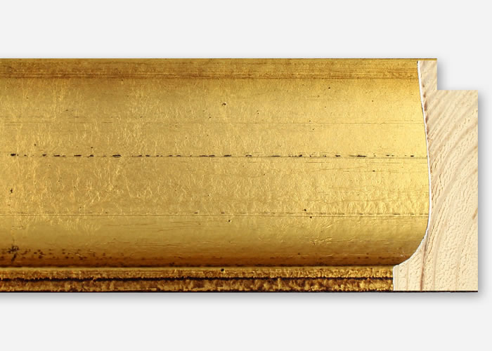 Custom Frame CFSZ8791