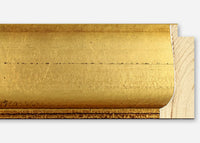 Custom Frame CFSZ8791