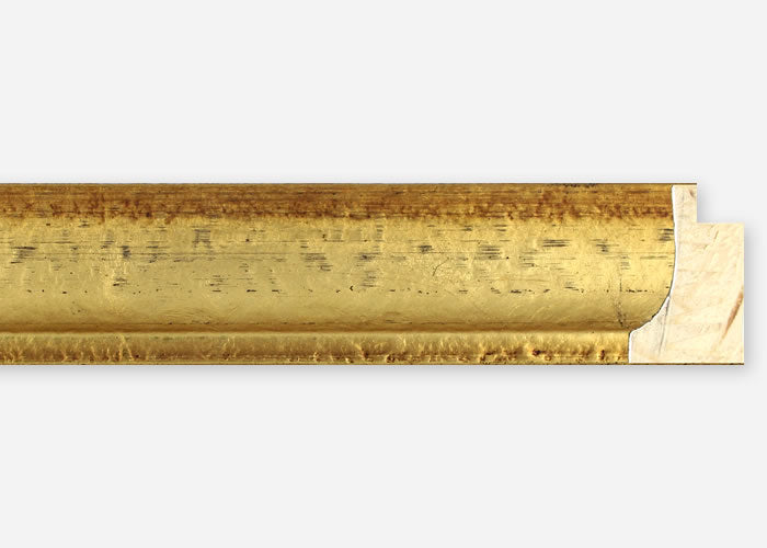 Custom Frame CFSZ8795