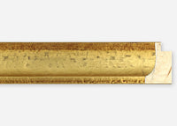 Custom Frame CFSZ8795