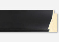 Custom Frame CFSYBR4520