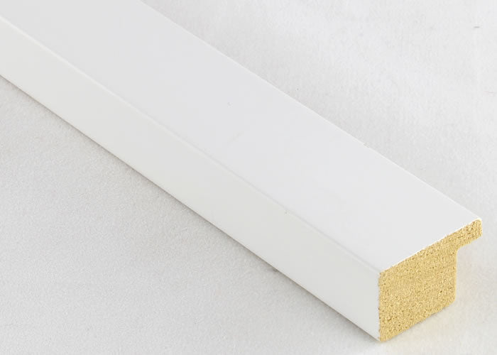 Custom Frame CFSX2420-05