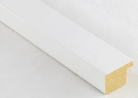 Custom Frame CFSX2420-05