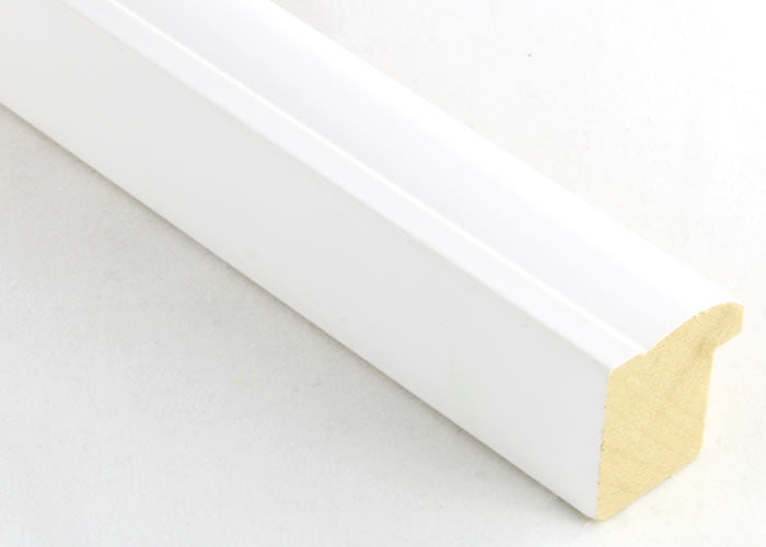 Custom Frame CFSX2420-15