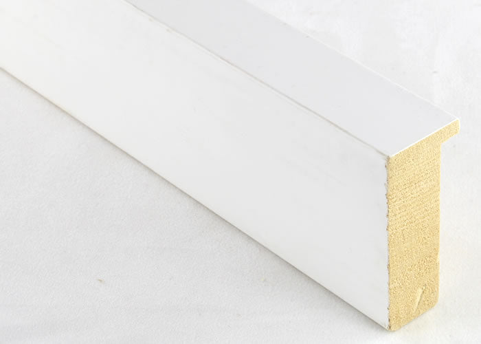 Custom Frame CFSX2420-30