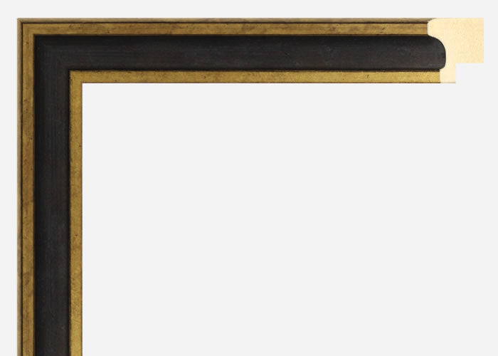 Custom Frame CFSX1300-850