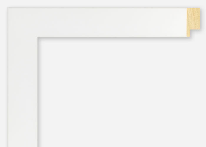 Custom Frame CFSX2420-05