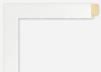 Custom Frame CFSX2420-05