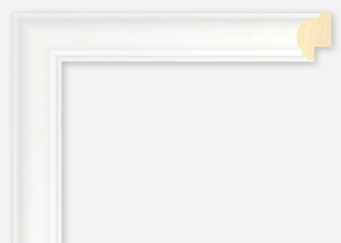 Custom Frame CFSX2420-20