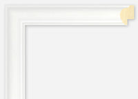 Custom Frame CFSX2420-20