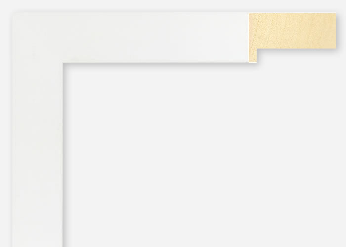 Custom Frame CFSX2420-30