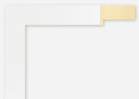 Custom Frame CFSX2420-30