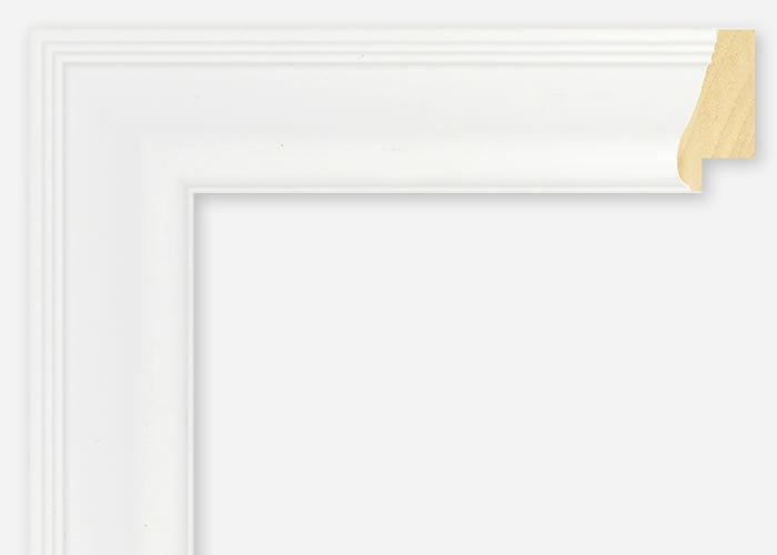 Custom Frame CFSX2420-45