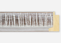 Custom Frame CFSX1300-845