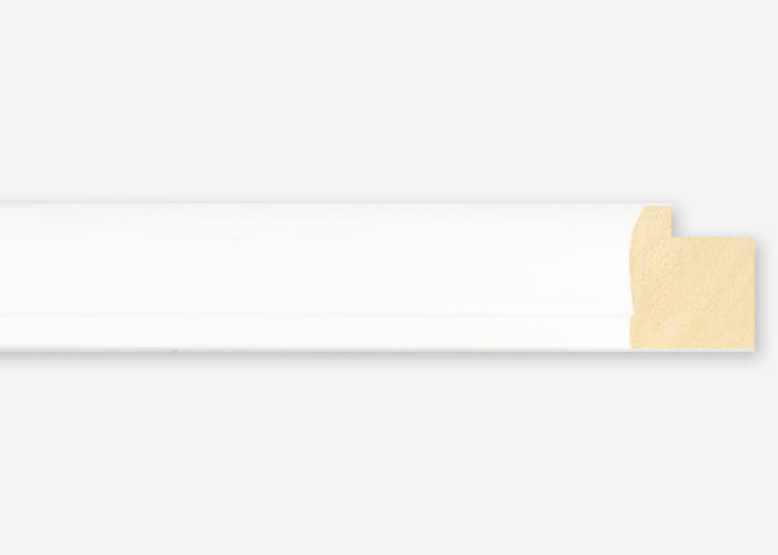 Custom Frame CFSX2420-15