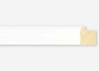 Custom Frame CFSX2420-15