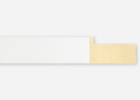 Custom Frame CFSX2420-30