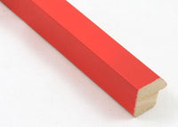 Custom Frame CFSYV102