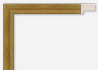 Custom Frame CFSYV1270