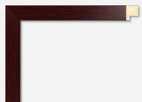Custom Frame CFSYW1113