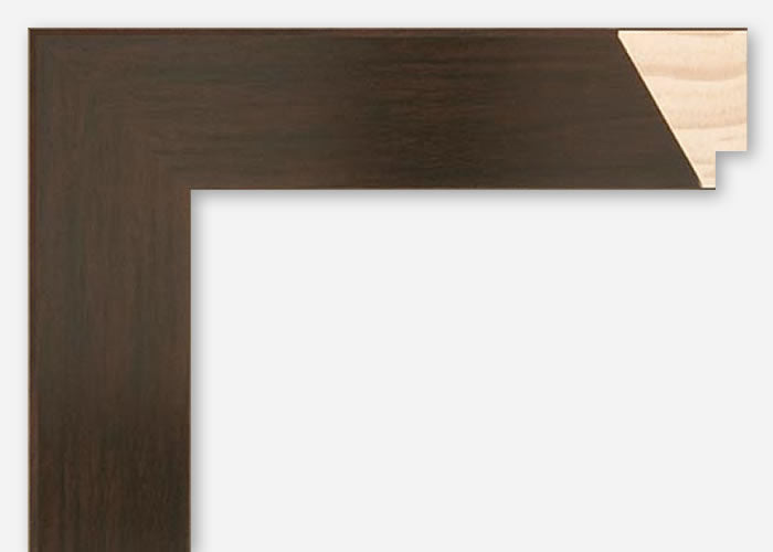 Discontinued Custom Frame CFSYW3421