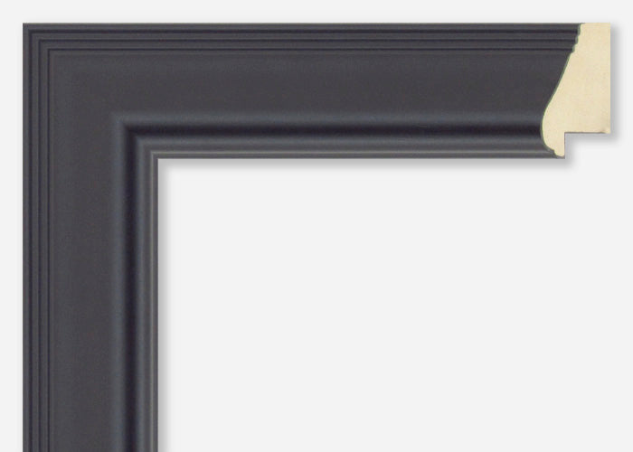 Custom Frame CFSX305-565